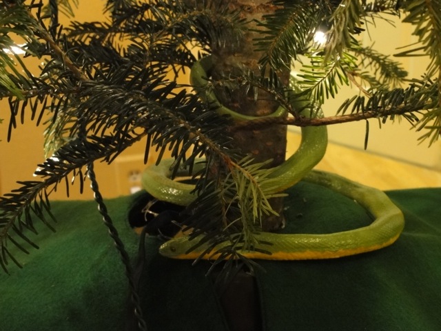 Yule Tree 2010